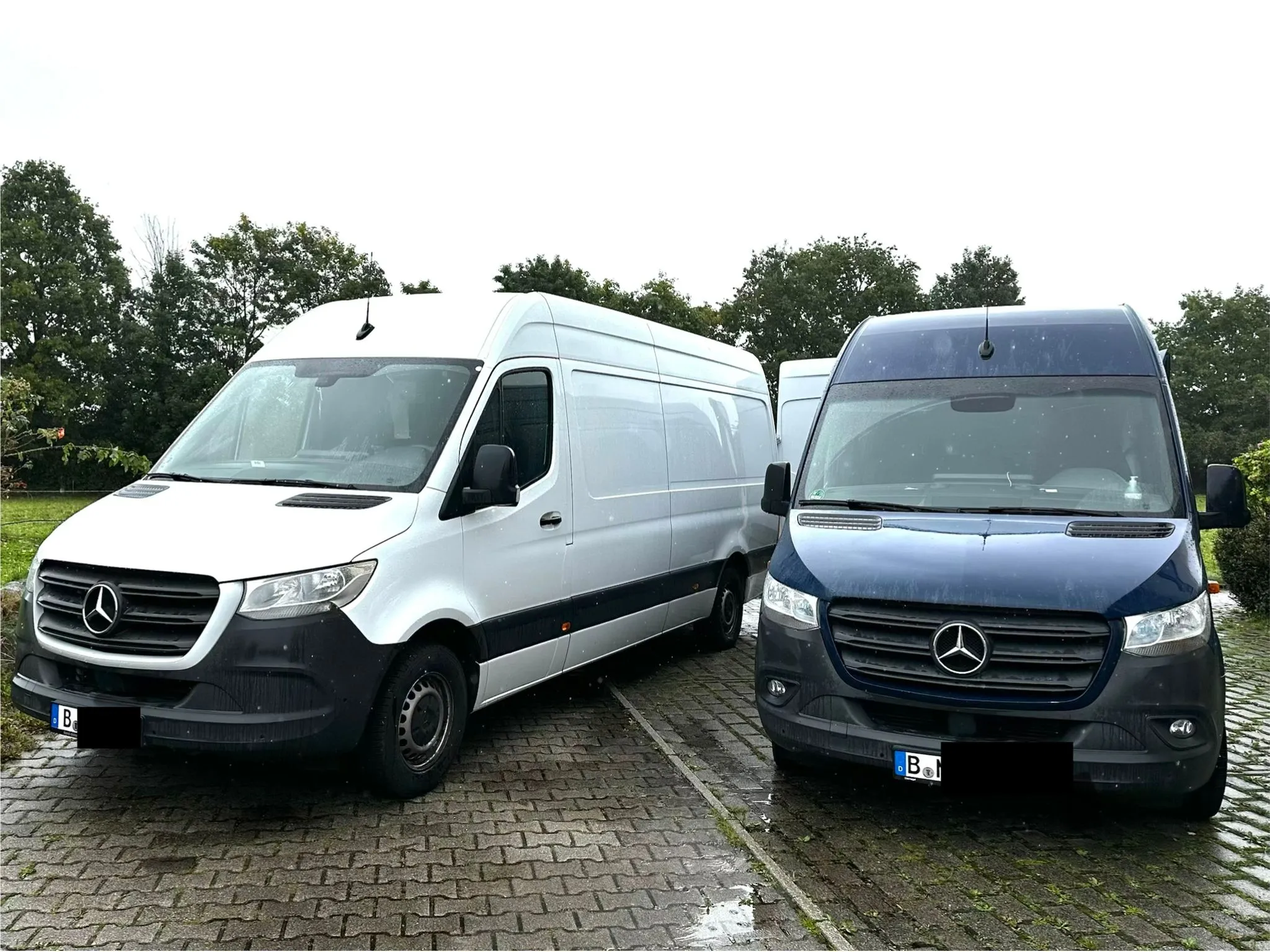 Zwei geparkte Mercedes-Transporter, einer weiß und einer dunkelblau, auf einem nassen Kopfsteinpflaster mit Bäumen im Hintergrund.